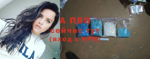 Альфа ПВП Белокуриха
