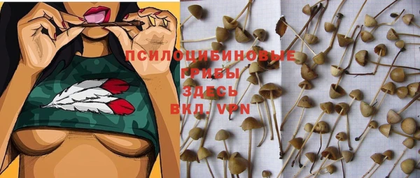 Альфа ПВП Белокуриха