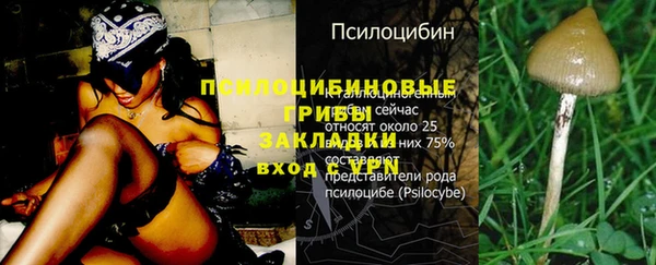 мяу мяу кристалл Беломорск