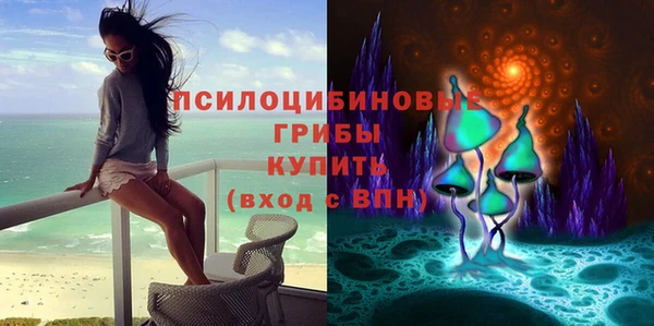 Альфа ПВП Белокуриха