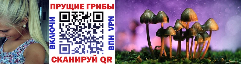 Галлюциногенные грибы Magic Shrooms  наркотики  Новый Уренгой 
